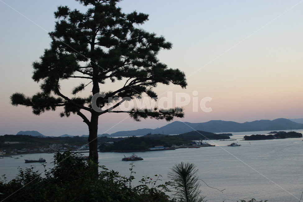 outdoors,옥외,nature,자연,shoreline,해안선,water,물,ocean,대양,sea,바다,plant,식물,tree,나무,coast,연안,노을,산,소나무,자연,풍경,nature,landscape