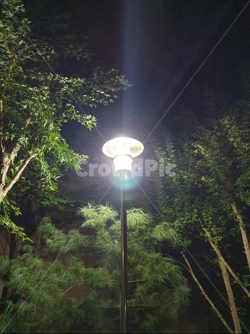 가로등,streetlight,streetlamp,불빛,light,야경,밤,저녁,night,nightview,outside