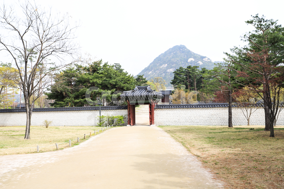 경복궁,문화재,서울,건축,궁전,문,단청,지붕,기와,돌담,돌기둥,고건축,한국,건청궁,창호지,서까래,석가래,기둥,흙길,주춧돌,추녀,목조건축물,가을,계절,fall,autumn,season,한국전통,한국문화,korean traditional,korean culture,건축물,건물외관,exterior,building,structure,architecture,construction,outdoors,옥외,garden,정원