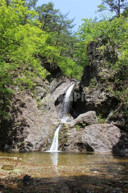 폭포,계곡,여름,시원한,waterfalls,summer,fresh,cold,water,물,나무,자연,nature,주왕산폭포,주왕산,물줄기,자연,풍경,nature,landscape,한국자연풍경,한국자연경관,korea nature landscape,river,강,outdoors,옥외,waterfall