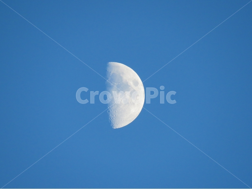 달,낮달,하얀달,반달,moon,자연