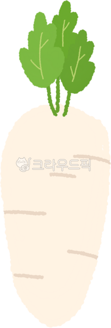 무,무일러스트,무그림,무모양,채소,채소일러스트,채소그림,채소모양,식재료,요리재료,식물