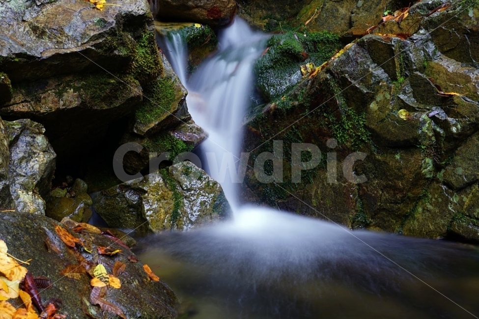 부산,기장,정관,장안사,삼각산,계곡,자연,풍경,nature,landscape,한국자연풍경,한국자연경관,korea nature landscape,water,물,outdoors,옥외,river,강