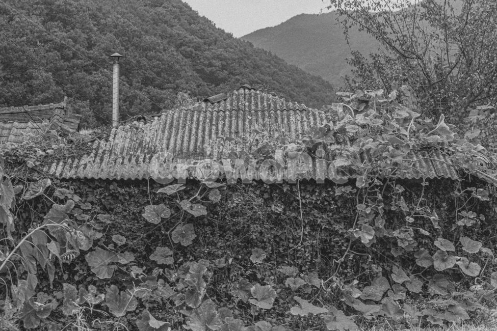 nature,자연,outdoors,옥외,시골,풍경,흑백,감성,시골,마을,풍경,landscape,country,rural,town,흑백,모노톤,monochrome,black and white