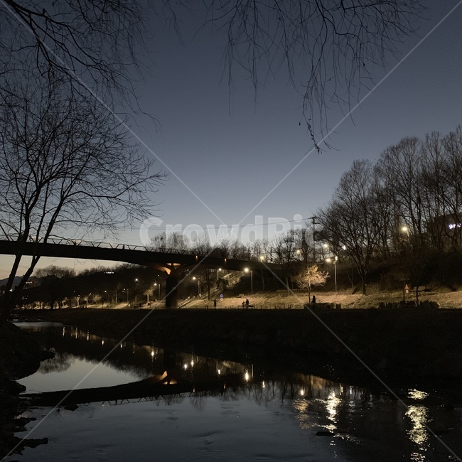밤,무드,야경,산책,분위기,양재천,다리,나무,야경,밤,풍경,nightscape,night,landscape,water,물,outdoors,옥외,nature,자연,land,땅,bridge,building,건물