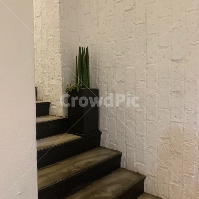 계단,감성,화분,벽,화이트,인테리어,실내디자인,interior design