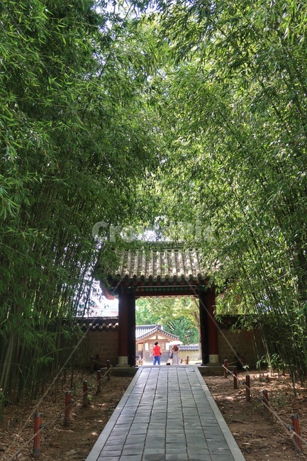 전주,한옥마을,경기전,푸름,초록색,outdoors,옥외,person,사람,human,인간,arbour,정자,garden,정원
