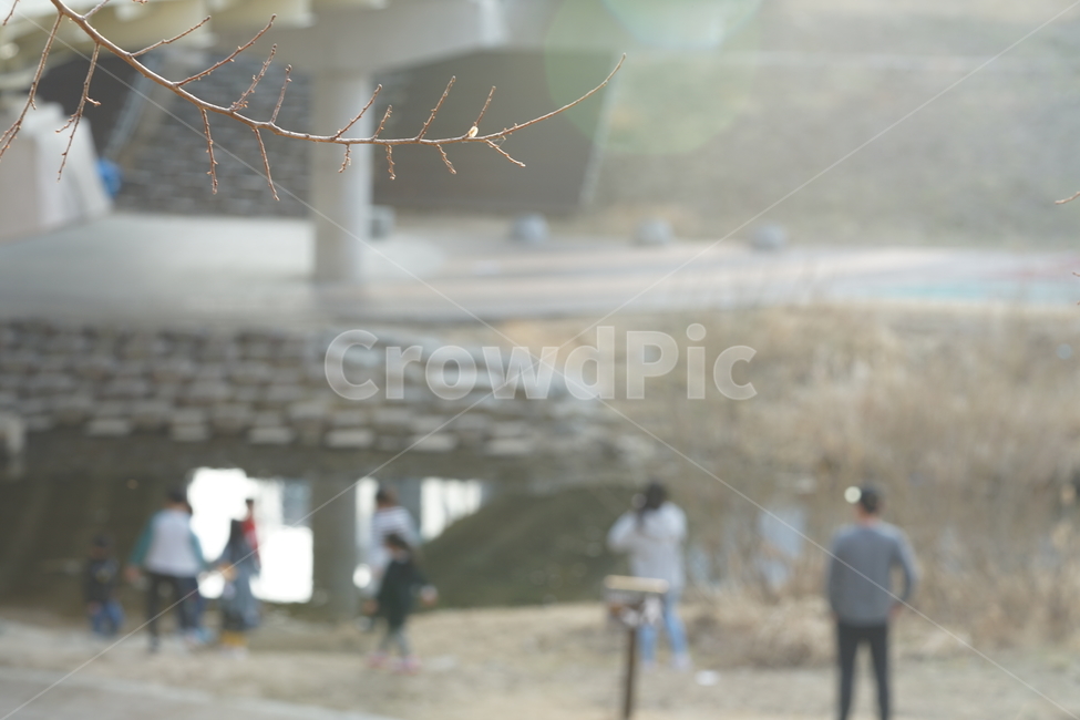 풍경사진,풍경,나무,나뭇가지,빛,역광,감성사진,감성샷,햇볕,봄날,산책,생명,계절,식물,색감,식물,자연,plants,nature,휴식,힐링,rest,relaxation,healing