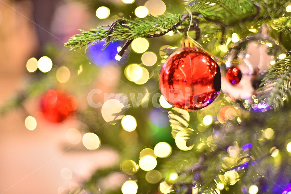 크리스마스,크리스마스트리,츄리,성탄절,보케,빛망울,플레어,bokeh,flare,xmas,tree,나무,christmas,년말장식,장식물,데코레이션,decoration,성탄볼,ball,크리스마스볼,christmasball,background,백그라운드,배경,바탕,분위기,성탄분위기,성탄배경,계절,시즌,season,빨강색,레드,red,plant,식물,장식,메리크리스마스,성탄절,merry christmas