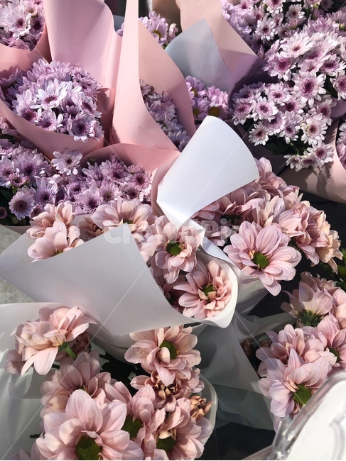 꽃,꽃다발,핑크색꽃,꽃가게,핑크색,꽃,flower,기념일,축하,anniversary,congratulation,celebrate,celebration