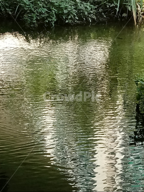 자연,nature,개울,stream,물,수초,냇가,시냇물,실개천,water,자연,풍경,nature,landscape,outdoors,옥외