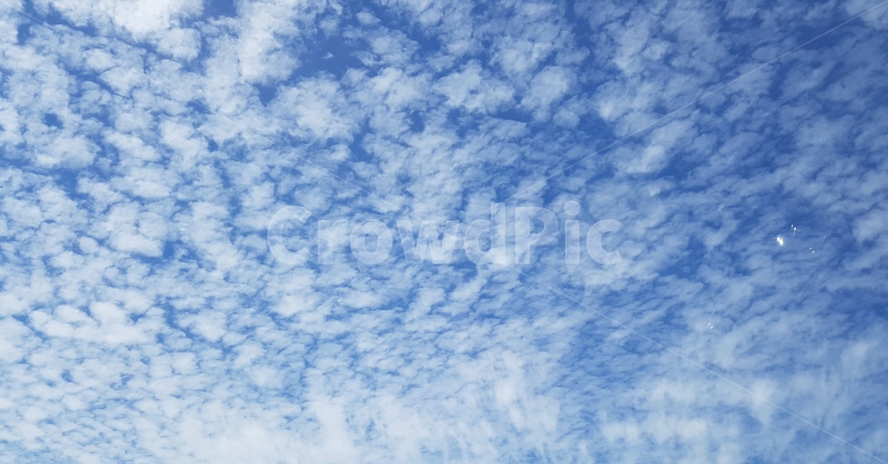 자연,푸른하늘,sky,하늘,azuresky,cloud,구름,자연,풍경,nature,landscape