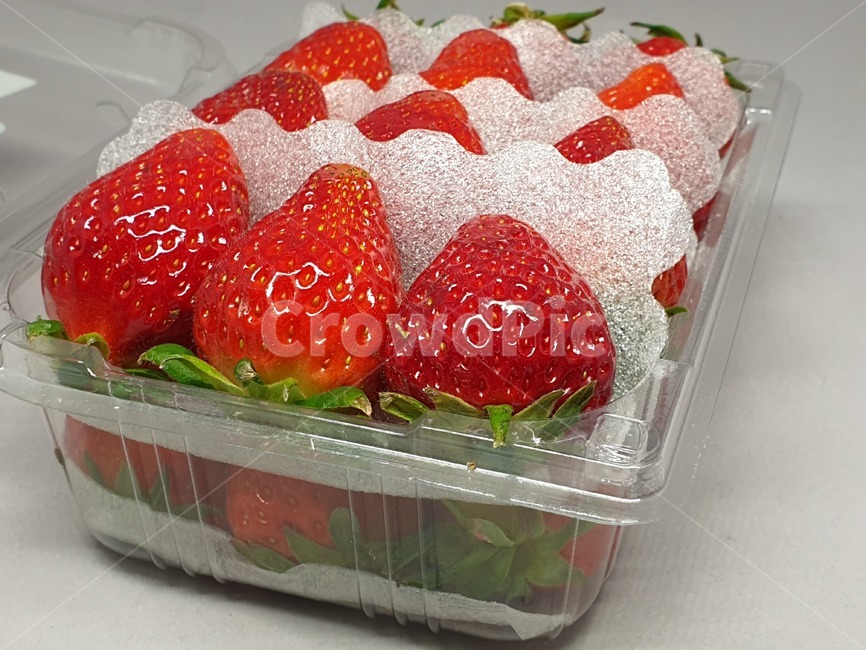 딸기,과일,strawberry,스트로우베리,스트로베리,fruit,프룻,후루츠,후르츠,상품,투명케이스,플라스틱케이스,식품,식자재,식재료,사물,오브젝트,object