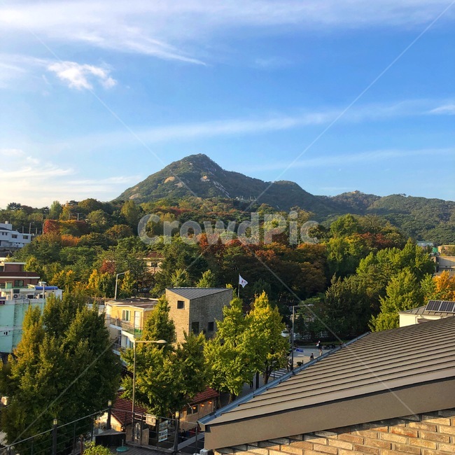 roof,지붕,scenery,풍경,outdoors,자연,nature,옥외,산,삼청동,서울,광화문
