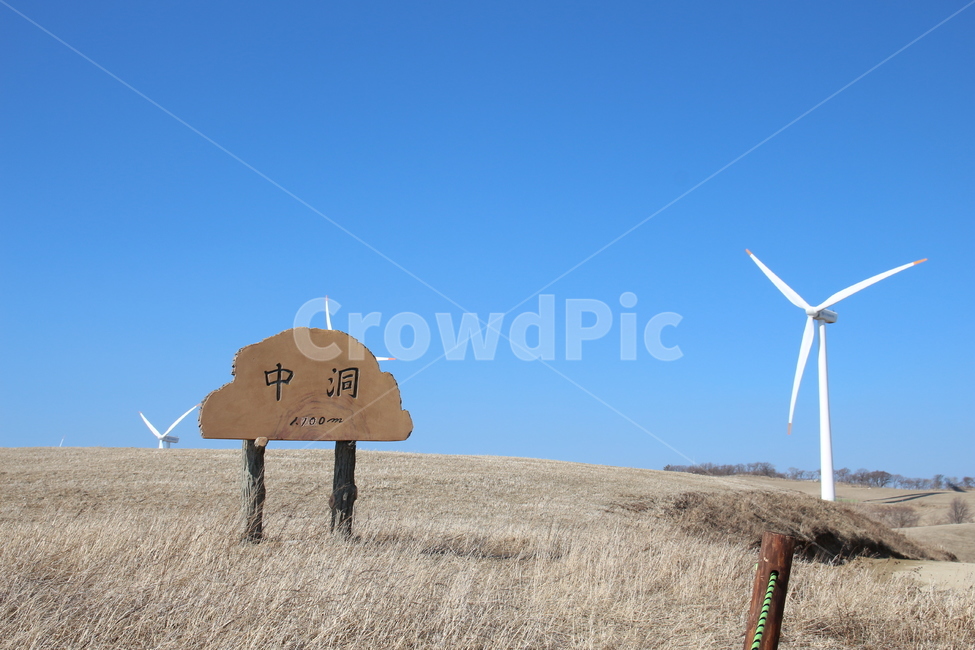 목장,풍경,감성,하늘,동해,강릉,동해전망대,전망대,파랑,산업,industry,industrial,에너지산업,energy industry