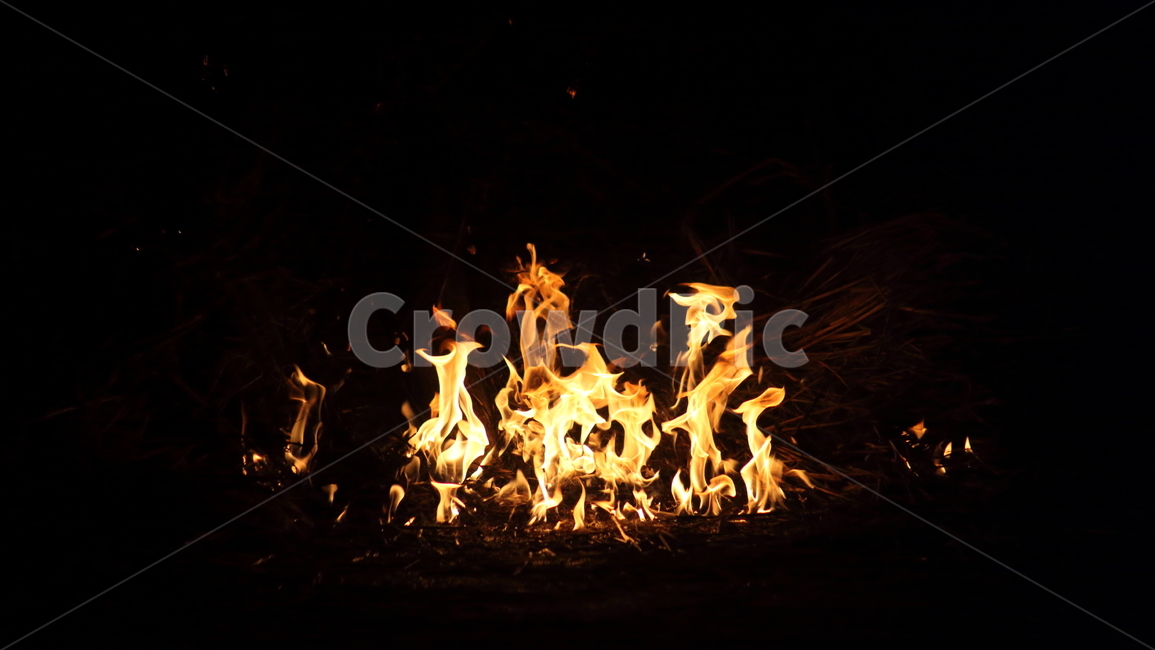 불,달집태우기,모닥불,fire,민속놀이