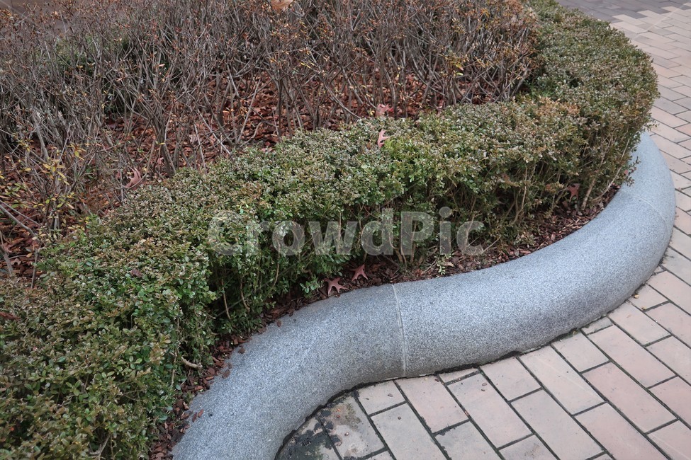 화단,사철,나무,조경,경계석,보도,블록,석재,상록수,조성,식물,자연,plants,nature