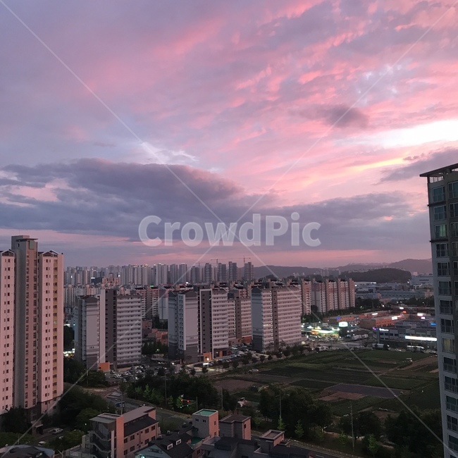 하늘,연보라빛,연보라,건물,풍경,도시,풍경,city,landscape,building,office building,사무실 건물,nature,자연,경치,outdoors,옥외
