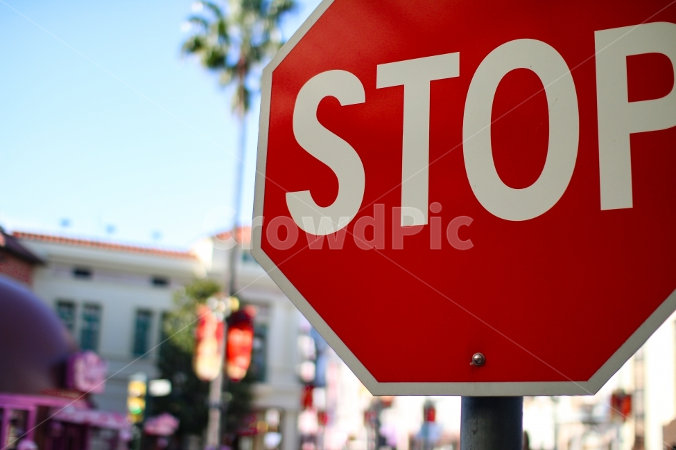 스탑,stop,자동차표지판,멈춤,빨강,경고,교통,교통수단,traffic,transportation,sign,기호,road sign,도로 표지판