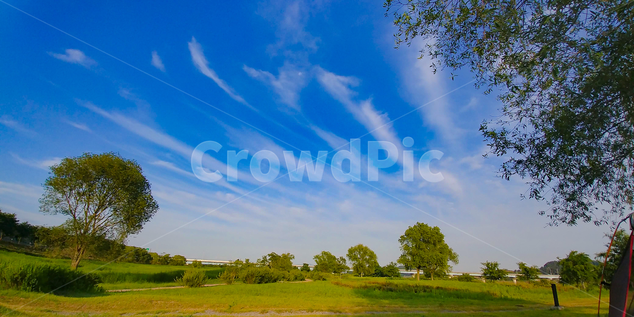 하늘,구름,수변공원,나무,들판,자연,풍경,nature,landscape,plant,식물,grass,잔디,outdoors,옥외,field,들,grassland,목초지