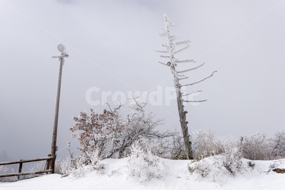 눈꽃,겨울,겨울풍경,눈,자연,풍경,감성,겨울,계절,winter,season,자연,풍경,nature,landscape,outdoors,옥외