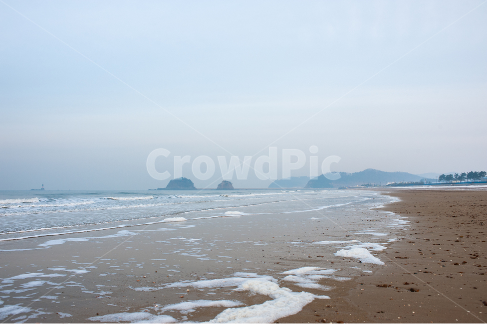 겨울바다,풍경,남애항,파도,바다