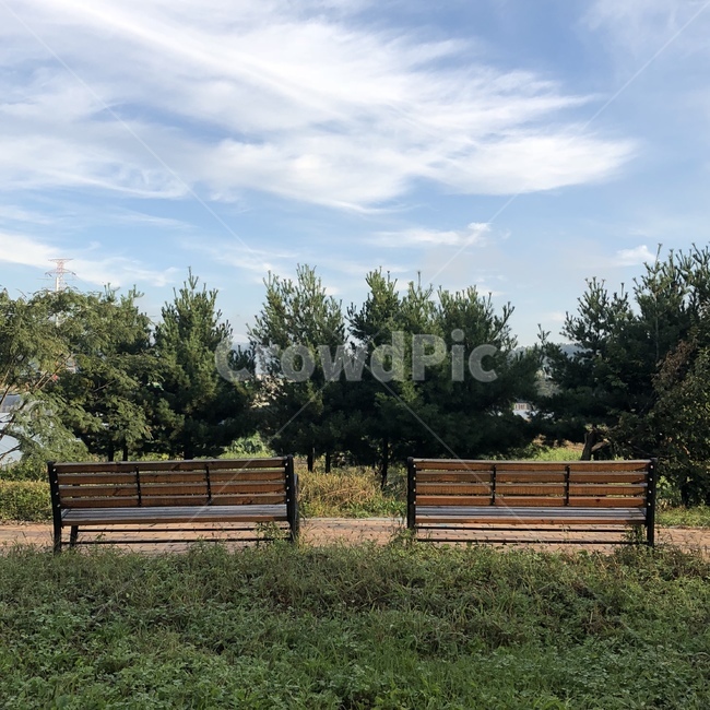 나무,벤치,휴식,공원,plant