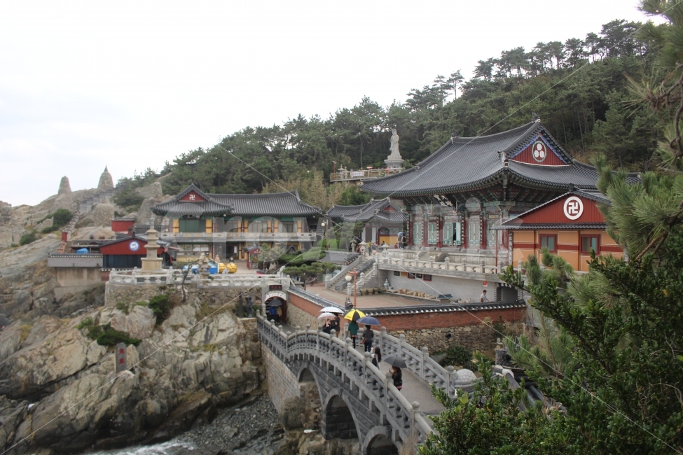 여행,부산,기장,해동용궁사,비,한국전통,한국문화,korean traditional,korean culture,랜드마크,landmark,tourist attraction,한국랜드마크,한국관광지,한국명소,korea landmark,korea tourist attraction,종교,신앙,religion,belief,faith