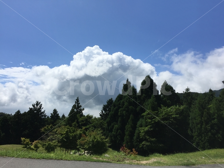 하늘,구름,나무,식물,풀,자연,일본,경치,풍경,여름,nature,summer,japan,여행,해외여행,해외,외국,외국여행,일본여행,travel,asia,파란하늘,날씨,맑은,맑음,산림,삼림,숲속,숲,tree,아름답다,아름다운,예쁜,예쁘다,이쁜,이쁘다,스냅,스냅사진,스넵,스넵사진,snap,snapshot,foreign,일본자연,일본풍경,landscape,blue,cloud,자연,풍경,nature,landscape,여름,계절,summer,season,plant,fir,전나무,outdoors,옥외,weather