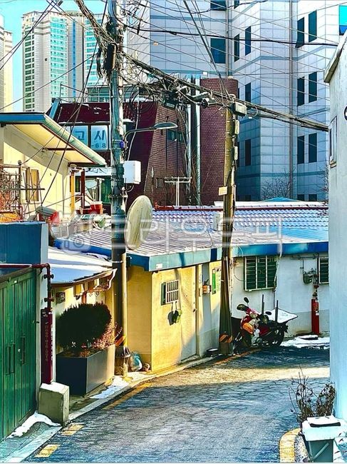 골목길,햇살,골목,동네,따뜻함