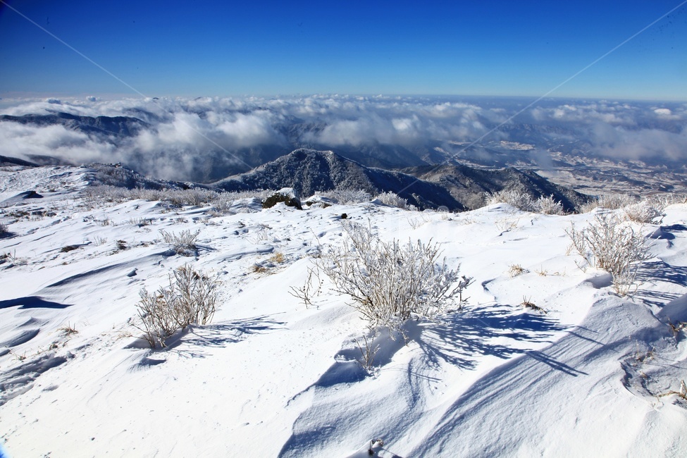 frost,서리,nature,자연,outdoors,옥외,ice,빙,mountain,산,mountainrange,산맥,glacier,빙하,snow,눈,scenery,상고대,무주,덕유산,덕유산설경,설경,설청봉,향적봉,중봉,경치,풍경,운해