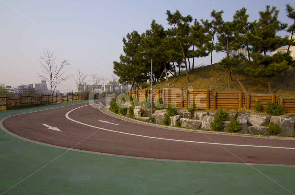 자전거도로,산책,도로,하늘,나무