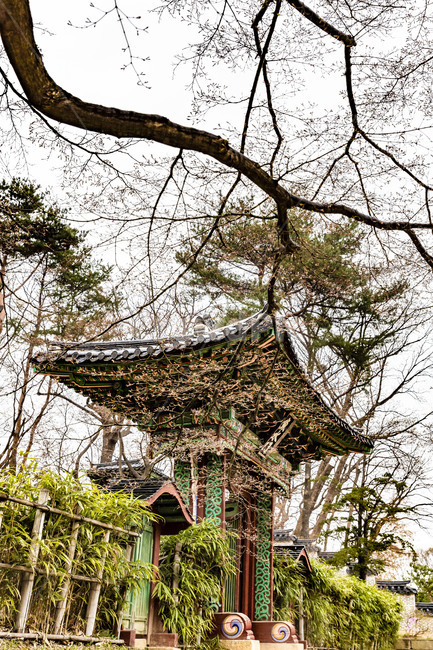 창덕궁,고궁,궁궐,봄,주합루,문화유산,전통건축물,어수문,한국전통,한국문화,korean traditional,korean culture,건축물,건물외관,exterior,building,structure,architecture,construction