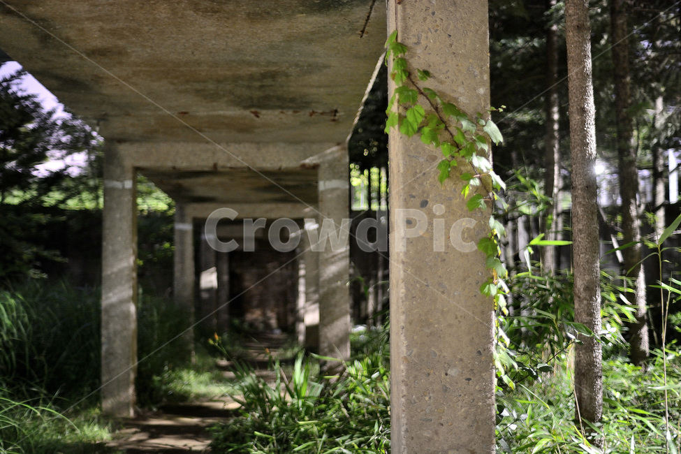 선유도공원,풍경,자연,야경,다리,식물,식물,자연,plants,nature,건축물,건물외관,exterior,building,structure,architecture,construction