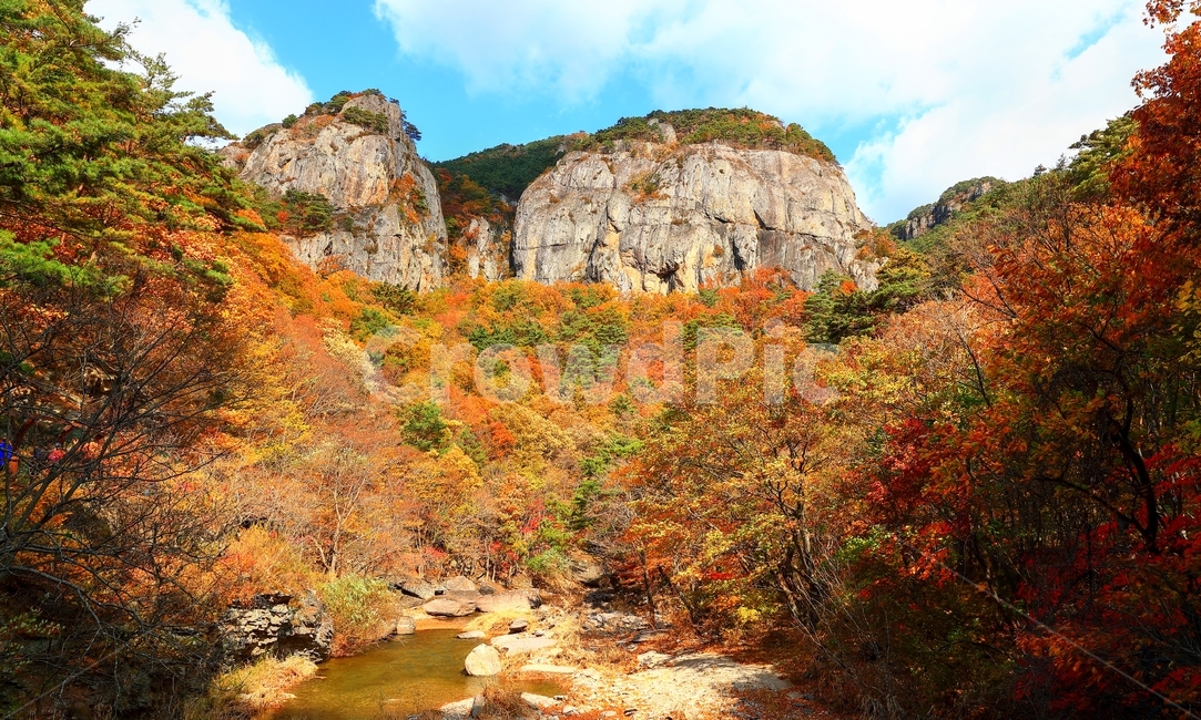 주왕산,가을,단풍,암봉,계곡,하늘,가을,계절,fall,autumn,season,nature,자연,outdoors,옥외,mountain,산