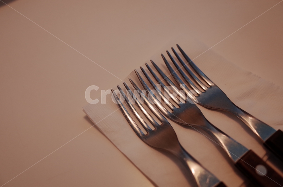 식기류,포크,dinnerware,fork,감성,sensitivity,사물,물건,오브젝트,thing,object,matter