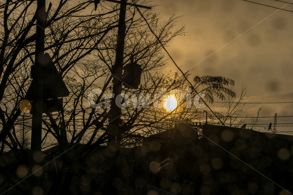 일몰,풍경,자연,봄비,비,rain,sunset,spring,비,비오는날,rain,rainy