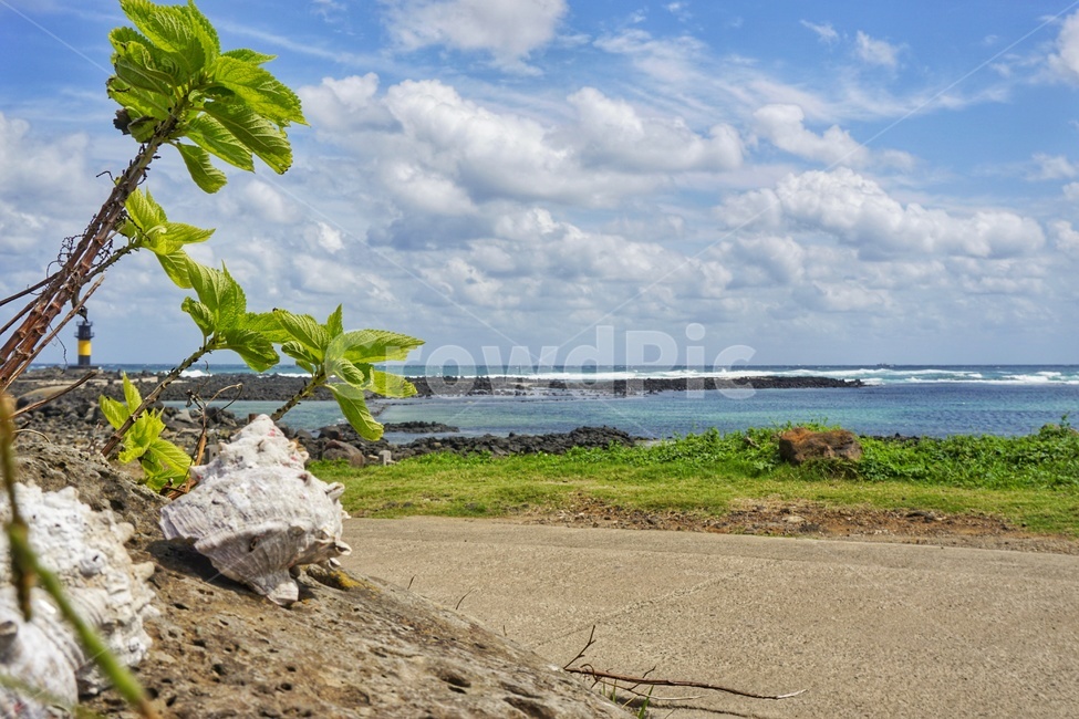 바다,우도,풍경,소라,봄,자연,풍경,nature,landscape,shoreline,해안선,water,물,land,땅,outdoors,옥외,sea,ocean,대양