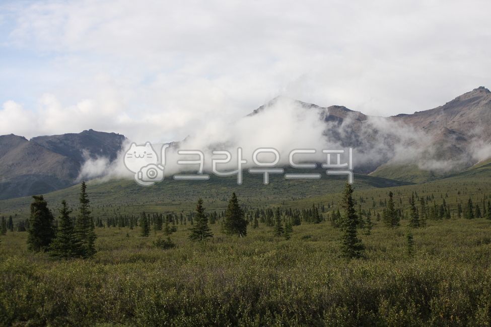 cloud,tundra,mountain,Denali National Park,nature,trekking,alaska,sight,Alaska,denalinationalpark