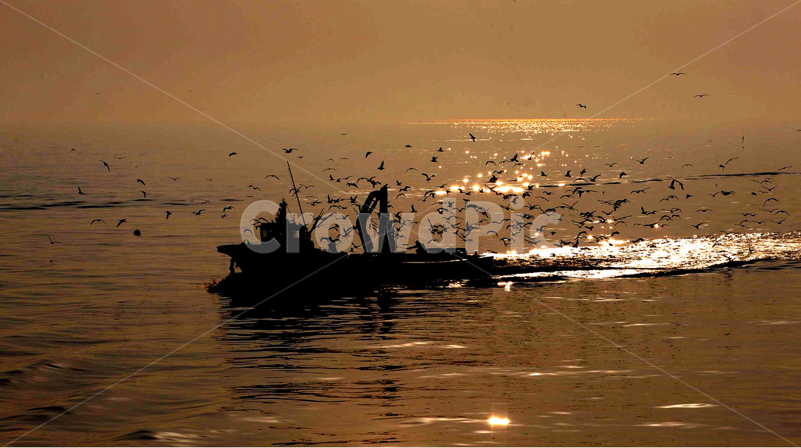어선,새벽,만선,항구,배,보트,바다,일출,fishingboat,boat,ship,고기잡이배,실루엣,실루엣,그림자,silhouette,shadow,산업,industry,industrial,어업,fishery,fishing industry,교통,교통수단,traffic,transportation