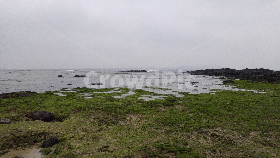 water,sea,대양,ocean,나라,물,바다,shoreline,해안선,제주,제주도,제주바다,제주하늘,제주도바다,제주도하늘,해안,해변,방파제,경치,land,옥외,outdoors,자연,nature,바닥,ground,자연,풍경,nature,landscape