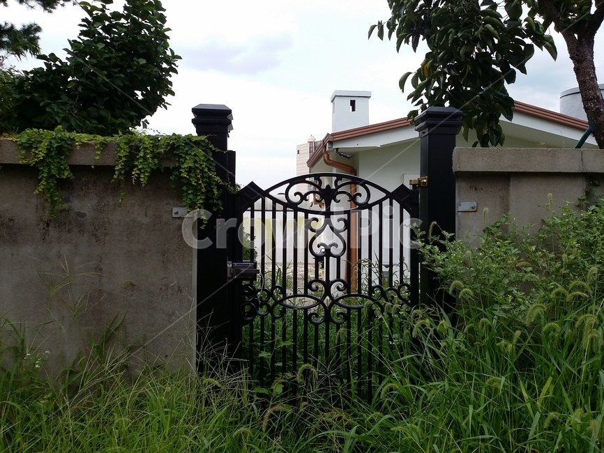 정원,집,식물,대문,문,담장,철재문,gate