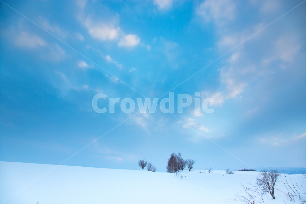 겨울,폭설,눈,풍경,자연,비에이,홋카이도,파란하늘,겨울,계절,winter,season,자연,풍경,nature,landscape,색깔,색상,색채,색감,color sense,color sensitivity,feeling of color,outdoors,옥외