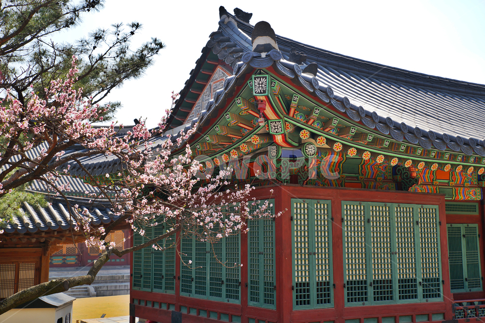 즉조당,전각,덕수궁,궁궐,대한제국,한국전통,한국문화,korean traditional,korean culture,건축물,건물외관,exterior,building,structure,architecture,construction