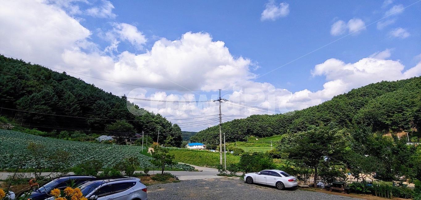 시골,하늘,시골하늘,산,배추밭