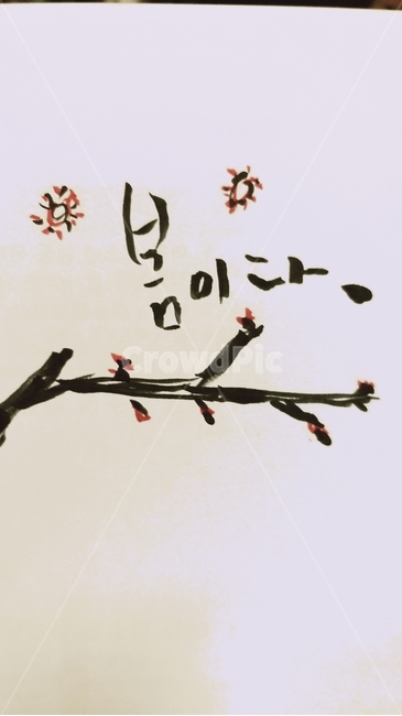 예쁜글,좋은글,캘리그라피,캘리,감정,좋은말,봄,감성