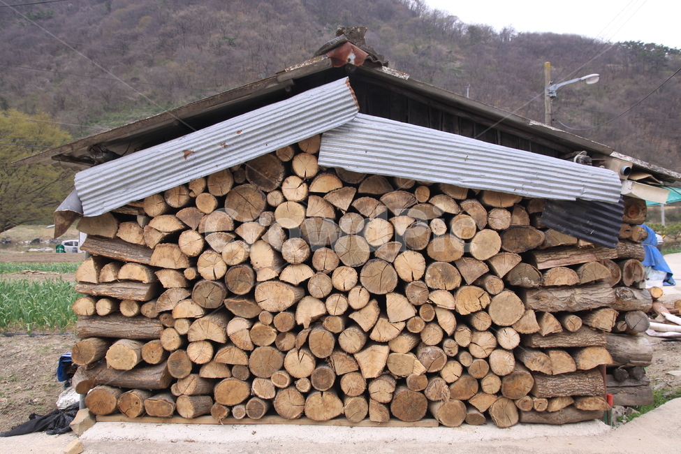 나무,장작,땔감,시골,장작더미,겨울준비,나무,trees,wood