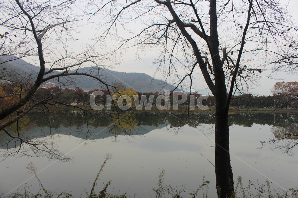 연못,나무,가을,쓸쓸함,경치,land,outdoors,water,nature,fall,가을,계절,fall,autumn,season