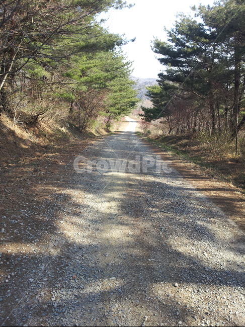 산,길,나무,땅,자연,mountain,road,tree,land,nature