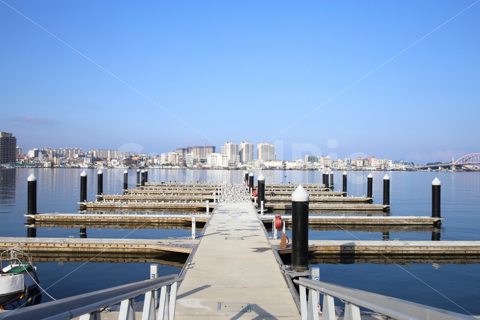 속초,여행,풍경,자연,봄,가을,여름,겨울,청초호,철새,도시,풍경,city,landscape,water,물,waterfront,워터 프론트,port,포트,pier,교각,railing,난간